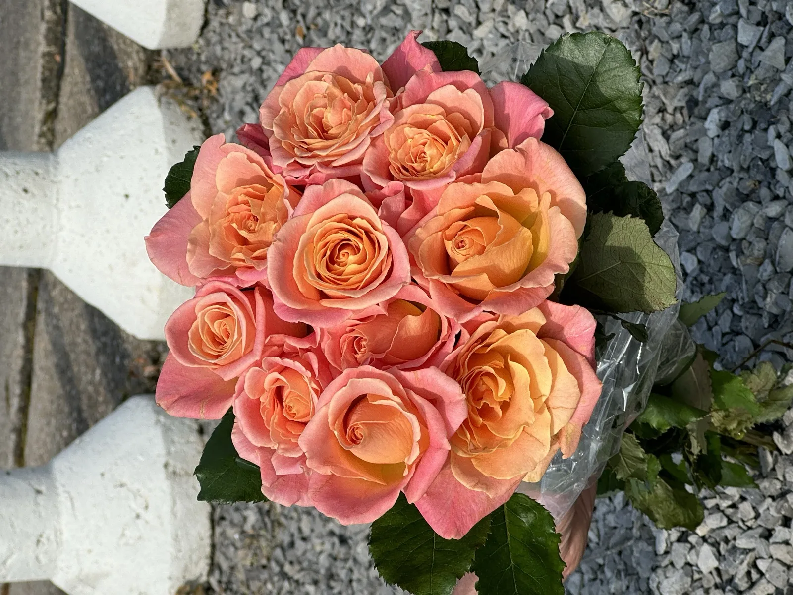 Boeket Stralende Zalmrozen met warm zalmoranje en zacht roze tinten